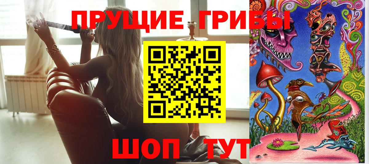 Ставрополь  Галлюциногенные грибы Psilocybe  Вход с VPN 